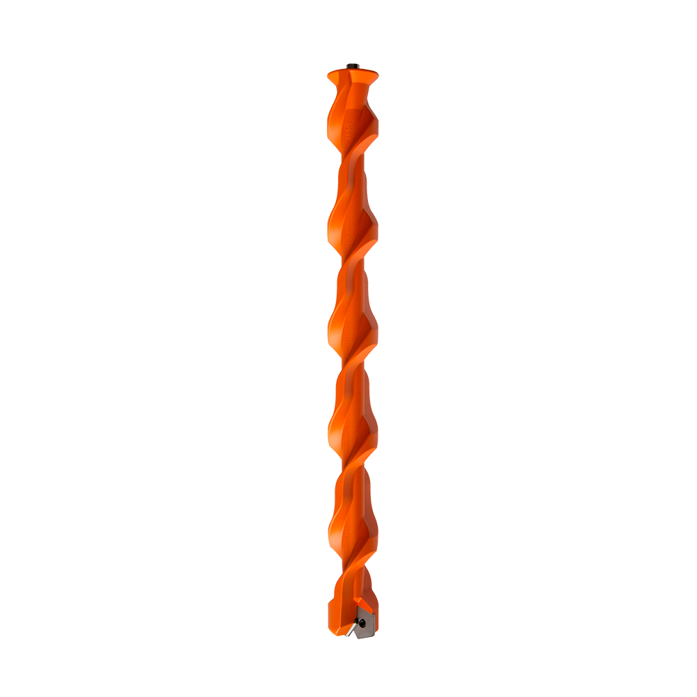Orange Fox sneeuwboren