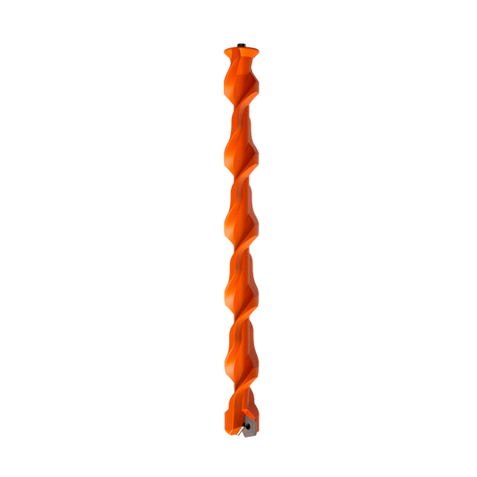 Orange Fox sneeuwboren