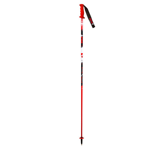 Alpine GS Carbon